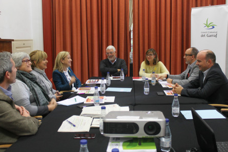 Consell d'Alcaldies