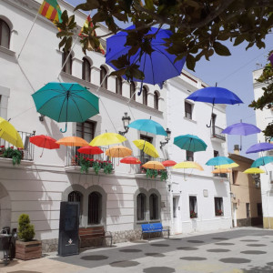 ajuntament LGTBI.jpg