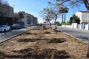 Arbrat av. Prat i Les Salines_1.JPG