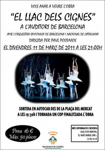 Cartell llac dels cignes
