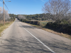 desbrossat camins (3).jpeg