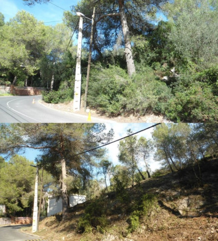 desbrossat Mas Trader 2 (abans i després)