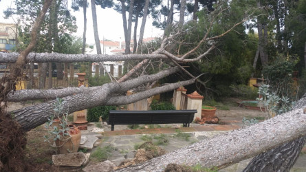 Tempesta Glòria