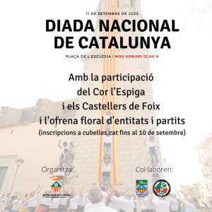 Diada Catalunya 2022