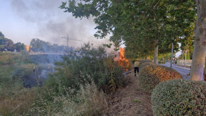 Incendi riera Foix (19).jpeg