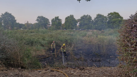 Incendi riera Foix (21).jpeg