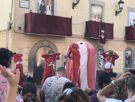 7a mostra de pallassos