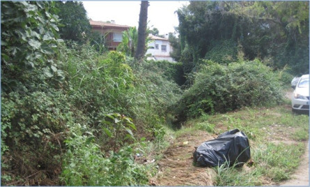 Torrent de Mas Trader, entre habitatges