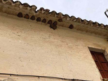 Orenetes_Castell.jpeg