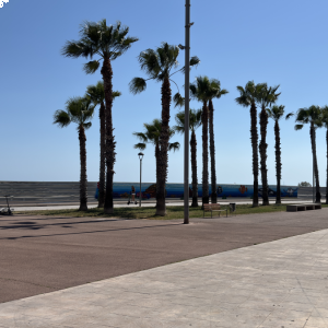 Passeig de La Marina