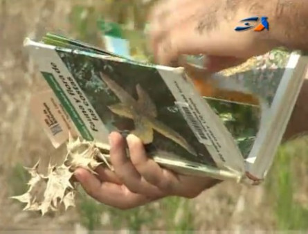 Passejades ambientals