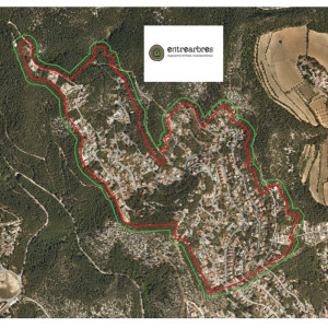 Franja perimetral del barri de Mas Trader II (Entrearbres)