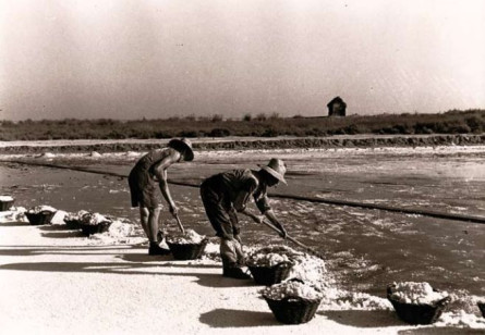 Les Salines de Cubelles (Foto: Arxiu A. Pineda)