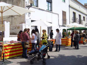 St jordi mt