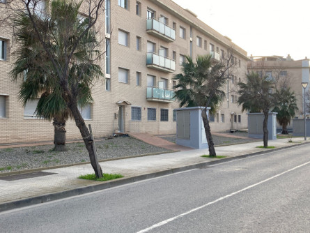 Substitució de l'arbrat del carrer del General Josep Moragues