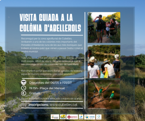 visita-guiada-abellerol-estiu-2.png