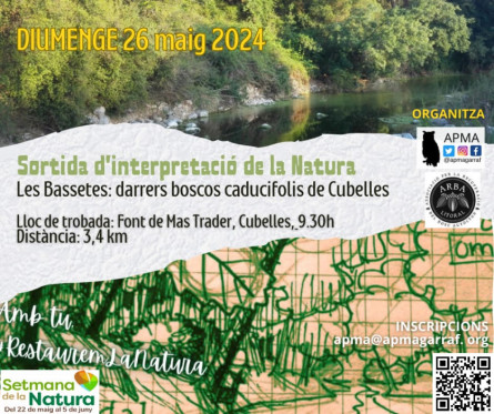 Visita Les Bassetes 26 maig.jpeg