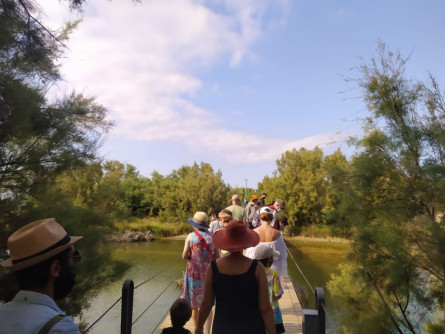 Visites guiades Foix